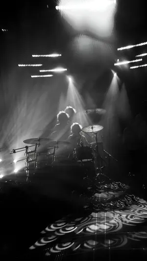 The Dandy Warhols Live Performance Wallpaper