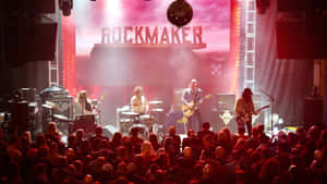 The Dandy Warhols Live Performance Wallpaper