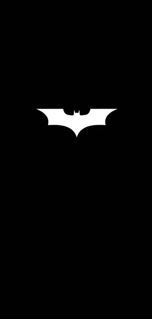 The Dark Knight In Monochrome Wallpaper