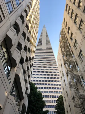 The Design Of Transamerica Pyramid Wallpaper