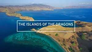The Dragons' Island Of Komodo Wallpaper