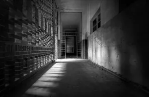 The Enchanted Forest Wallpaper