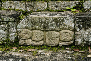 The Enigmatic Mayan Ruins Of Copan Under A Brilliant Blue Sky Wallpaper