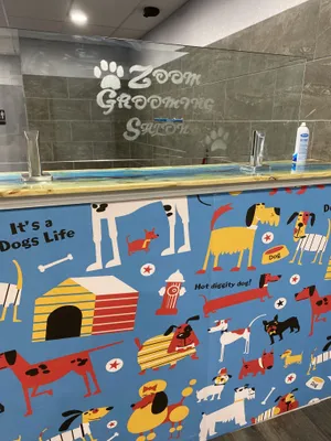 The Essential Guide To The Ultimate Preening Experience Wallpaper