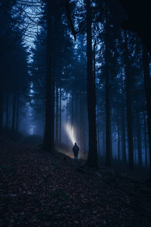 The Explorer Navigates Through The Dark Forest Wallpaper