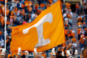 The Flag Of Tennessee Wallpaper