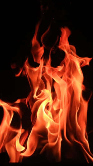 The Flames Of Cool Fire Wallpaper