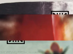 The Fragile Wallpaper