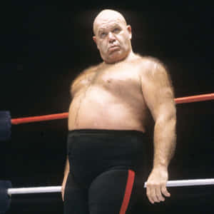 The Furry George Steele Wallpaper