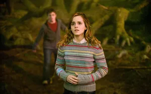 The Goblet Of Fire Wallpaper