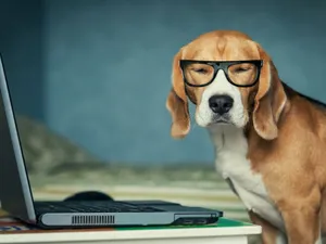 The Golden Hour View Of A Cityscape Wallpaper