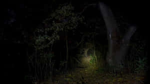 The Haunted Forests Of Mount Shadow Wallpaper