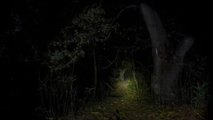 The Haunted Forests Of Mount Shadow Wallpaper