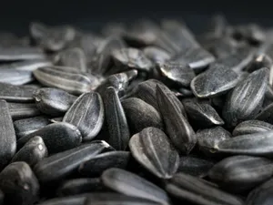 The Healing Benefits Of Black Cumin Wallpaper