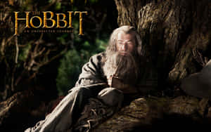 The Hobbit Wizardin Contemplation Wallpaper