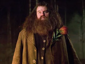 The Hogwarts Professors, Together In One Place Wallpaper