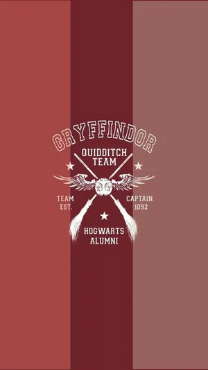 The Hogwarts Quidditch Team Honors Its 10th Championship Victory Wallpaper