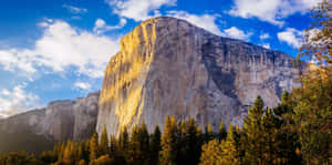 The Iconic El Capitan Of Yosemite National Park Wallpaper