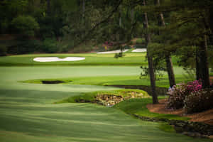 The Iconic Green Of Augusta National Golf Club Wallpaper