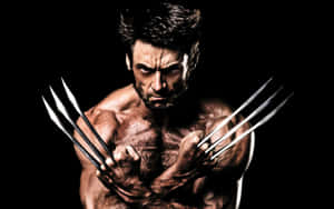 The Indestructible Adamantium Metal Wallpaper