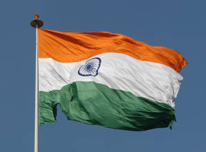 The Indian Tricolor Flag Soaring High Wallpaper