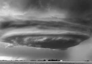 The Intensity Of Nature In Monochrome Wallpaper