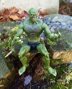 The Jackal - A Cunning Predator In Action Wallpaper