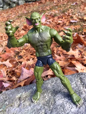 The Jackal - A Fearless And Cunning Predator Wallpaper