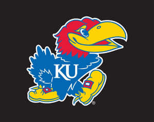The Kansas Jayhawks Proudly Representing Their Blue And Red Colors Wallpaper