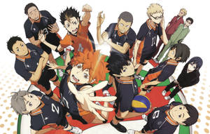 The Karasuno High Volleyball Team Display Their Team Spirit Wallpaper