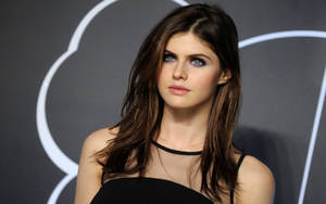 The Layover Actress Alexandra Daddario Wallpaper