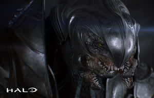 The Legendary Arbiter In Action Wallpaper