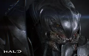 The Legendary Arbiter In Action Wallpaper