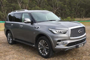 The Luxurious Infiniti Qx80 Suv In Its Glory Wallpaper