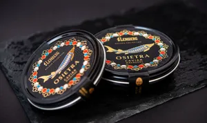 The Magnificent Black Caviar Wallpaper