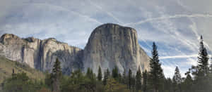 The Magnificent El Capitan In Yosemite National Park Wallpaper