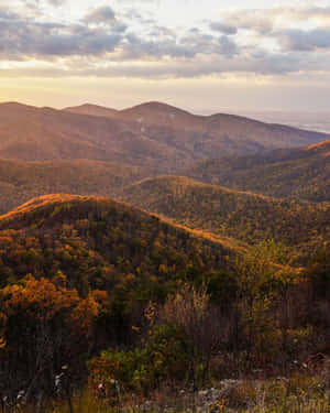 The Magnificent Views Of The Blue Mountains National Park Wallpaper