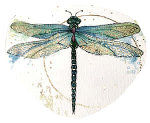 The Majestic Blue Dragonfly Wallpaper