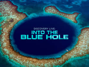 The Majestic Dive Into The Great Blue Hole Wallpaper
