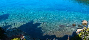 The Majestic Nature Of The Swiss Alps Wallpaper