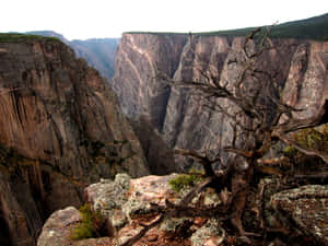 The Mighty Black Canyon Wallpaper