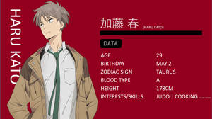 The Millionaire Detective Haru Data Wallpaper