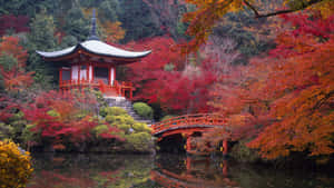 The Misty Mountains Of Japan; Wallpaper