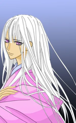 The Mysterious Shizuka Hio From Vampire Knight Wallpaper