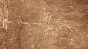 The Nazca Lines Wallpaper