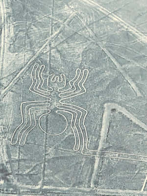 The Nazca Lines Wallpaper