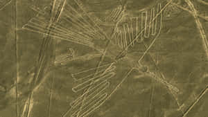 The Nazca Lines Wallpaper