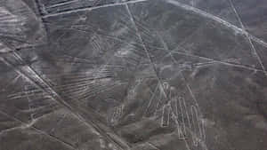 The Nazca Lines Wallpaper