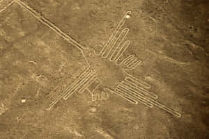 The Nazca Lines Wallpaper