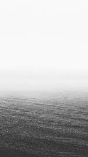 The New Iphone 7 Plus In All Its Glory Wallpaper